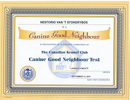 Nestorio Good Neighbour