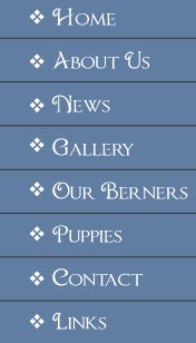navigation graphic